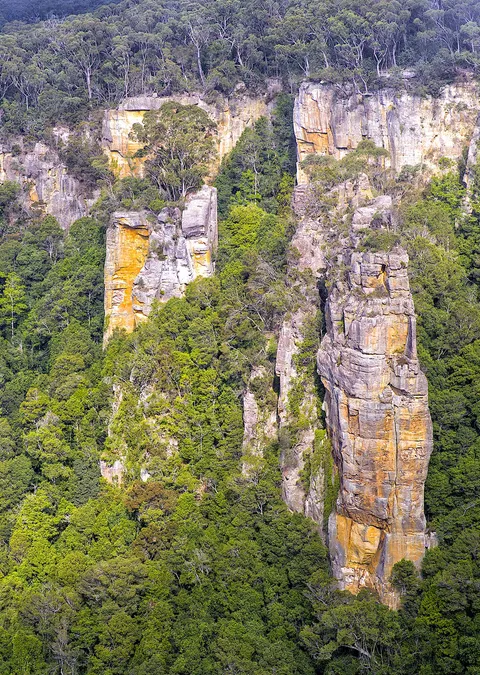 Tall sandstone rock pillars standing among dense green forest