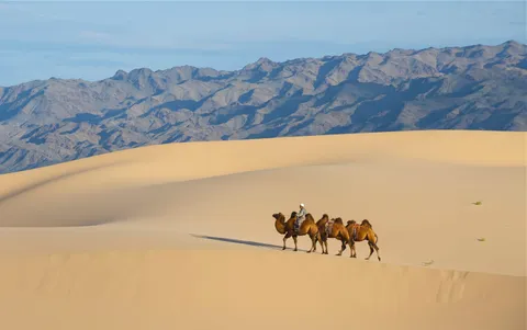 Gobi desert