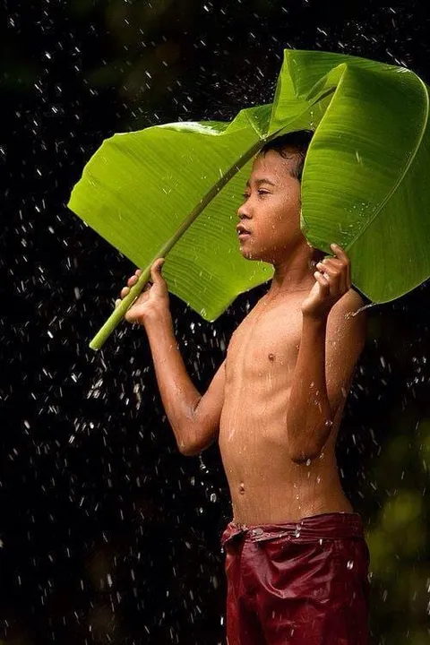 A child sheltering under a large green leaf in the rain