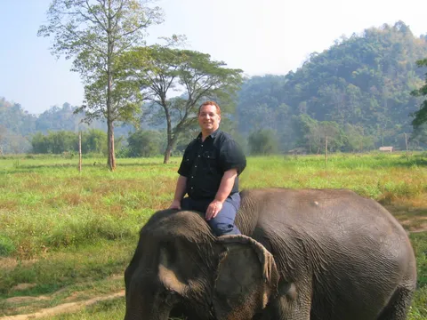 A man sitting on the back of an elephant in a grassy field