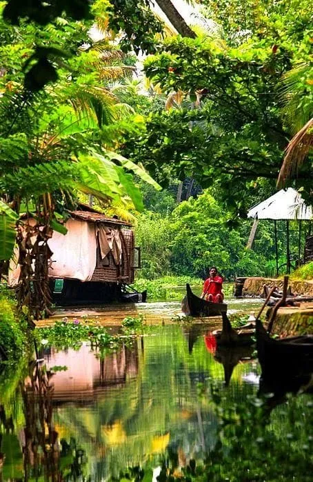 A small boat on a green canal beside houses and tropical plants