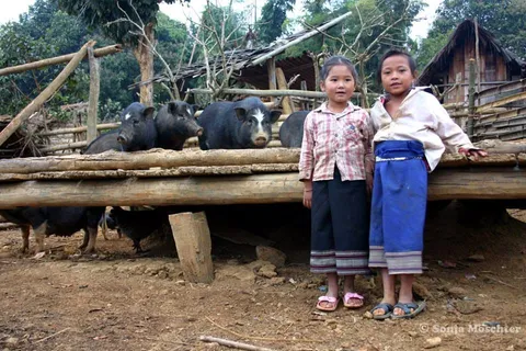 Two women standing beside a wooden fence with buffalo behind them