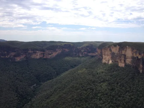 A wide forested valley bordered by tall sandstone cliffs