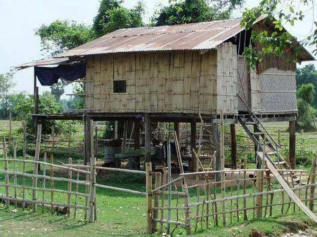 A raised wooden house with woven walls and a ladder to the entrance