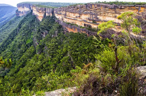 Layered sandstone cliffs rising above a steep forested valley