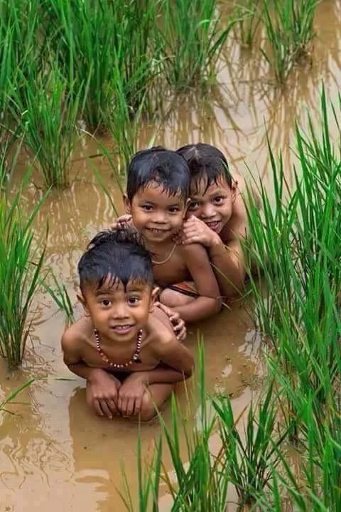 playing in rice waters