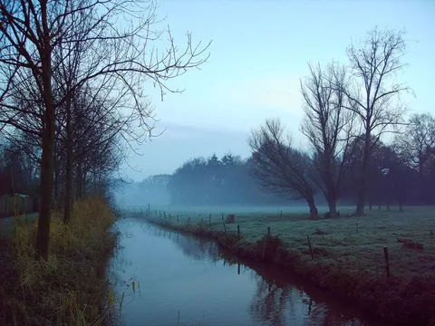 Bare trees beside a narrow canal in misty morning light