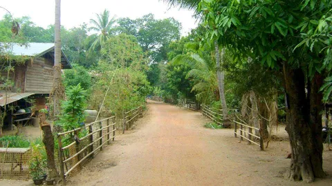 A dirt lane between fences and wooden houses surrounded by trees