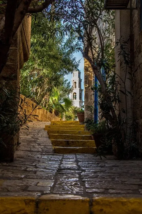 Sunlight falling across a stone path beneath trees and arches