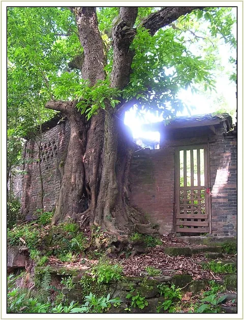 Chongqing ghost house