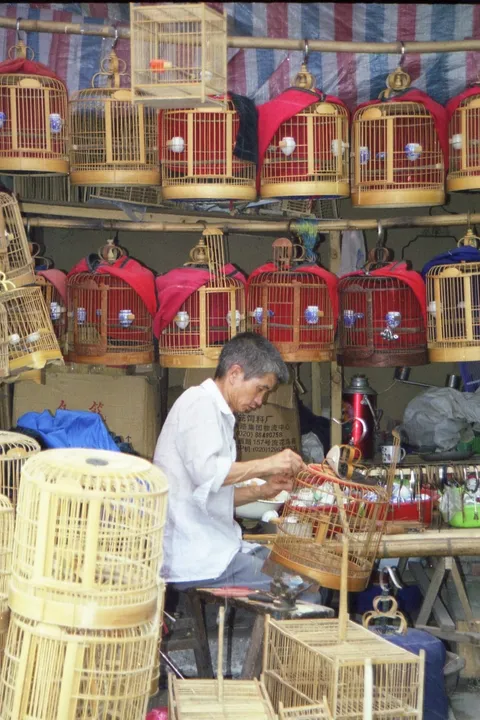 Bird-cage maker