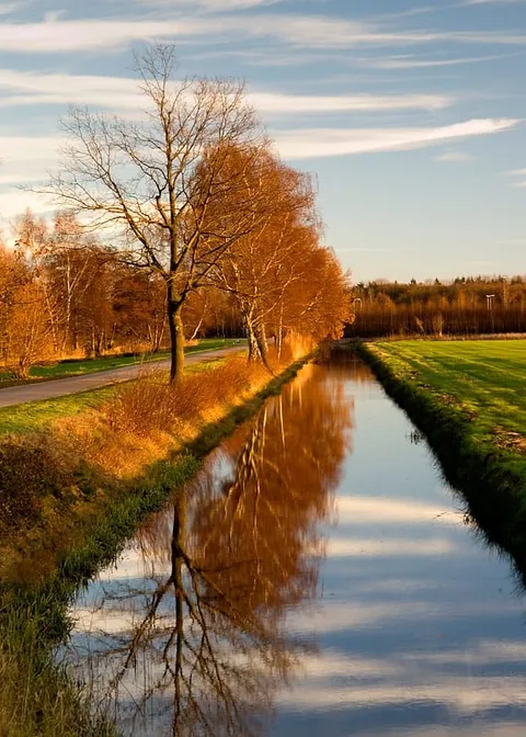 Trees with orange autumn leaves reflected in a straight canal