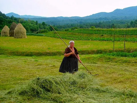 Work on the feilds Romania