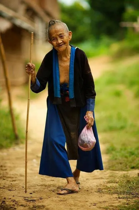 Grandmother went shopping