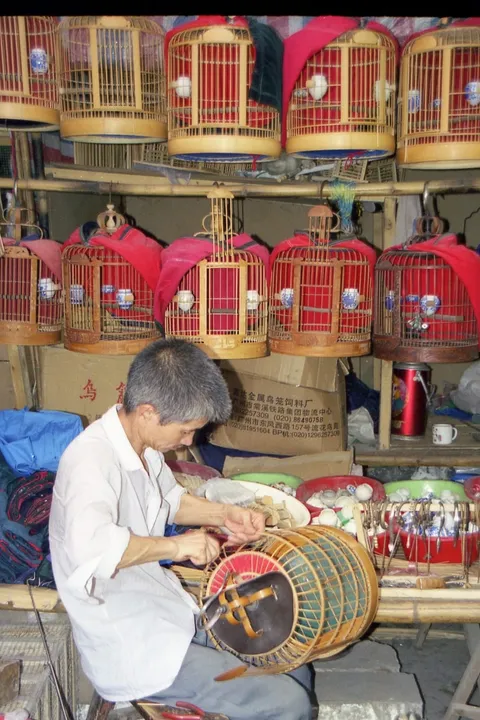 Bird-cage maker