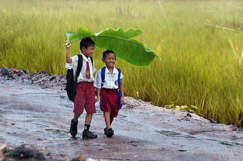 Two children sharing a large green leaf as shelter beside a wet road