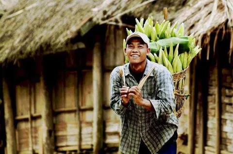 A smiling man with a large basket of green plants on his back