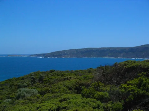 Green coastal scrub overlooking a blue bay and a distant headland